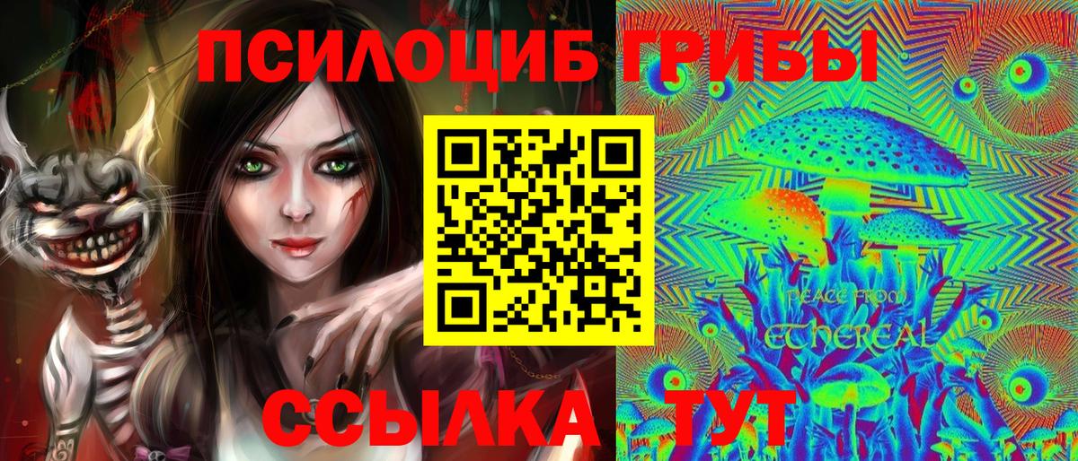 Галлюциногенные грибы Psilocybine cubensis Гудермес